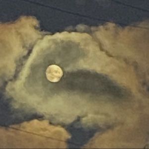 Meet your Posher, Daisy